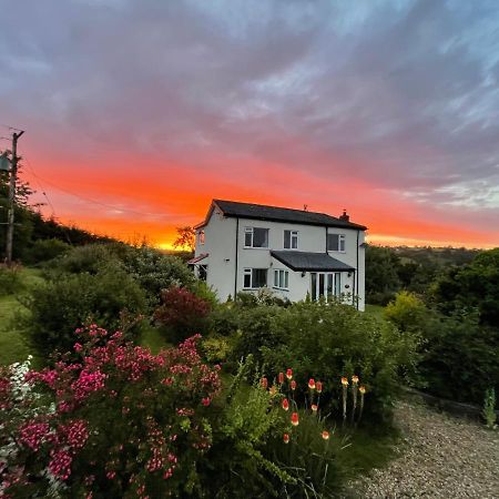 Country Home With Gardens Ньютаун Екстер'єр фото