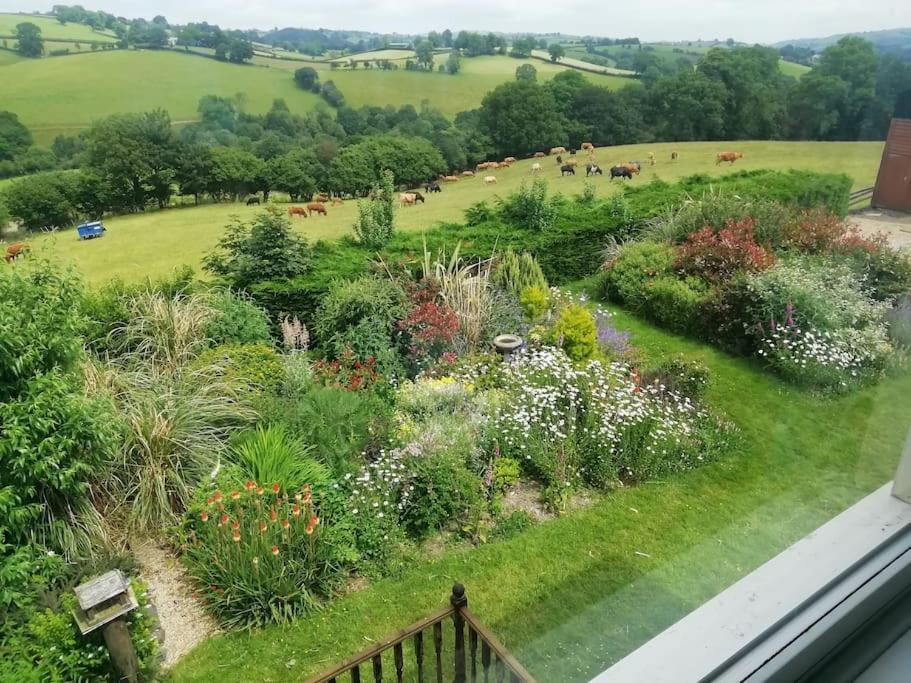 Country Home With Gardens Ньютаун Екстер'єр фото